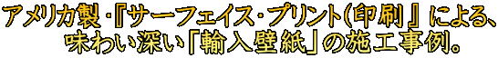 AJEwT[tFCXEvg(x ɂA @@ 킢[uAǎv̎{HB