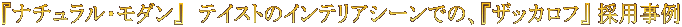 wi`E_x@eCXg̃CeAV[ł́AwUbJtx ̗p