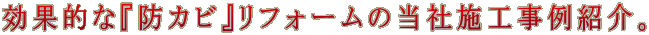 ʓIȁwhJrxtH[̓Ў{HЉB