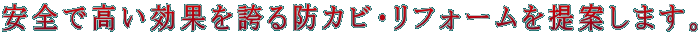 SōʂւhJrEtH[Ă܂B