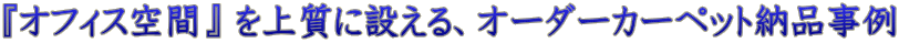 wItBXԁx ㎿ɐ݂AI[_[J[ybg[i