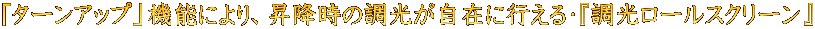 $B!V%?!<%s%
