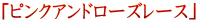 $B!V%T%s%/%