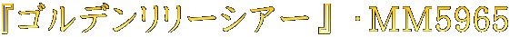$B!X%4%k%G%s%j%j!<%7%