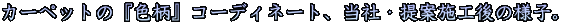J[ybǵwFxR[fBl[gAЁEĎ{H̗lqB 