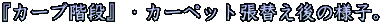 wJ[uKixEJ[ybgւ̗lqB